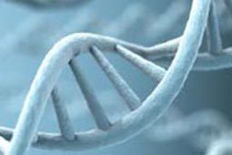 永久免费轰炸电话网页版